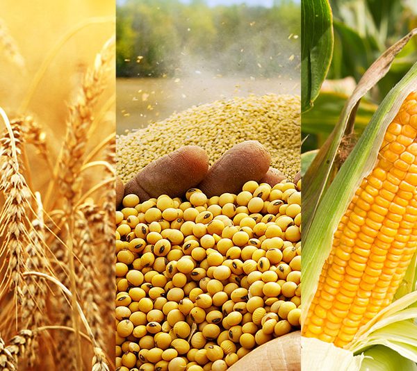 Agri-Commodities